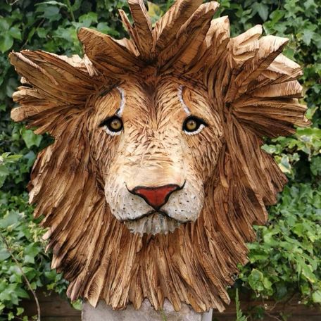 Male Lion Head, life size