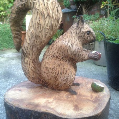  Squirrel with nut and shell 