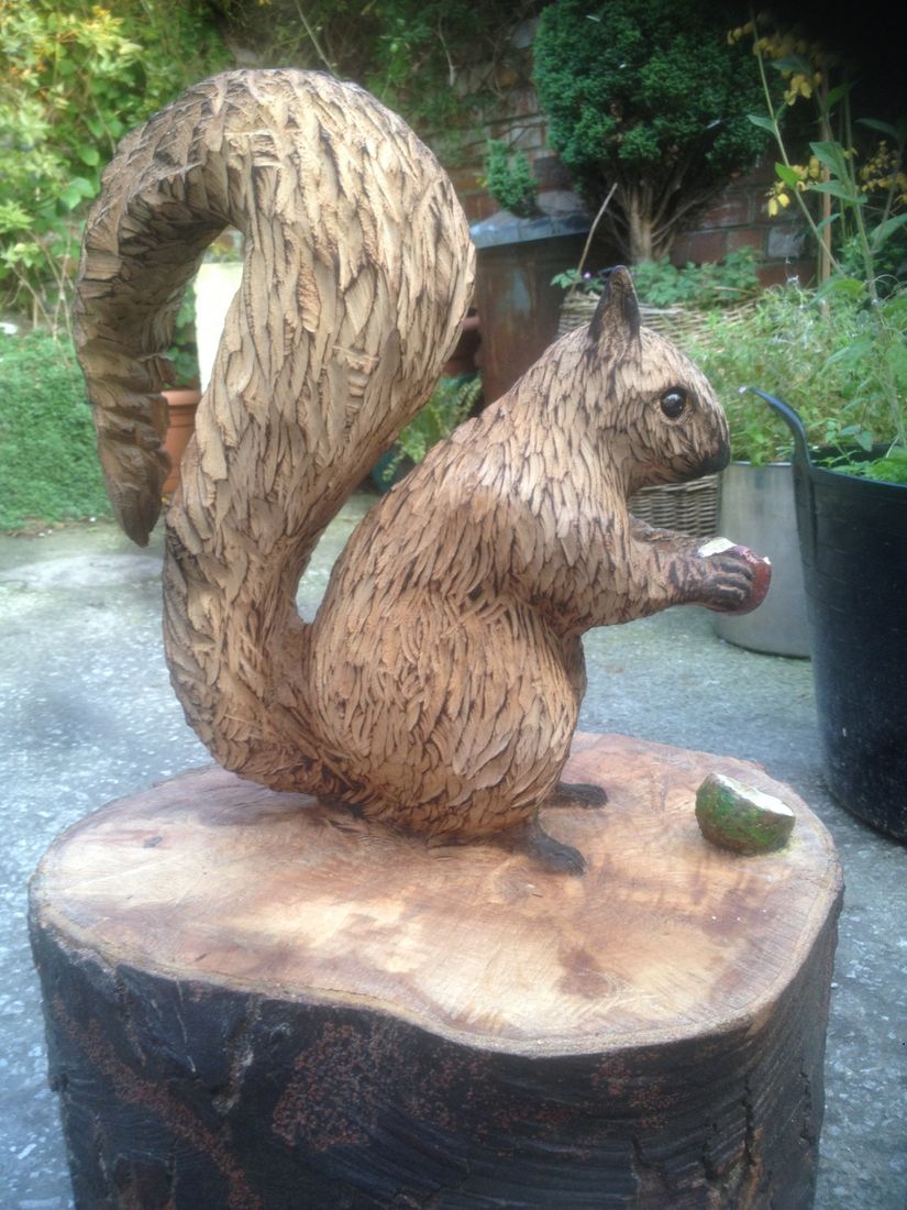 Squirrel with nut and shell 