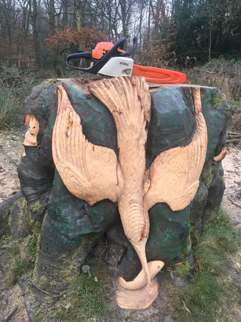  King fisher, carved at Heaton Park 