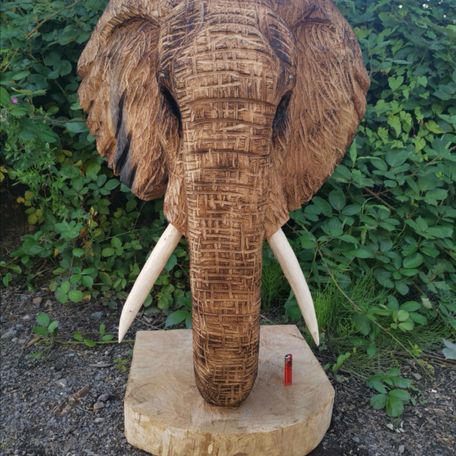 4ft African Elephant