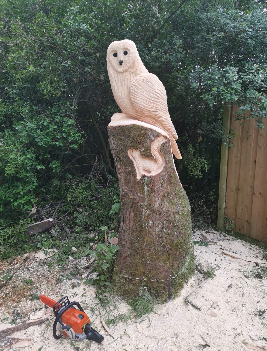 3ft, Barn owl with squirrel inlay
