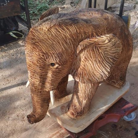 Elephant 2ft, by 3ft, carved in mature cypress
