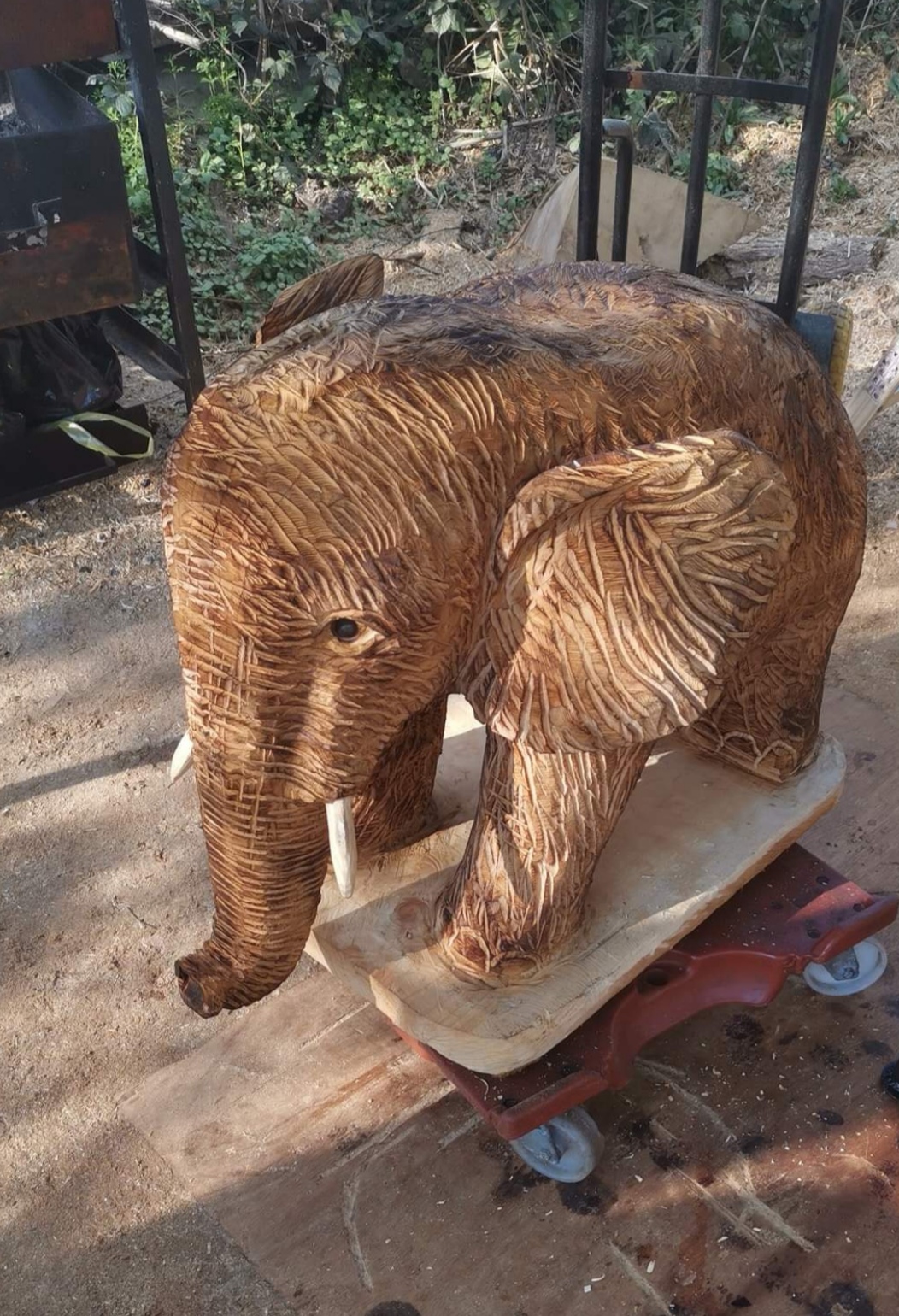 Elephant 2ft, by 3ft, carved in mature cypress