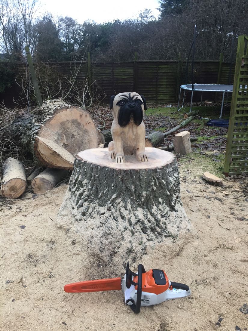  Pug stump carving 