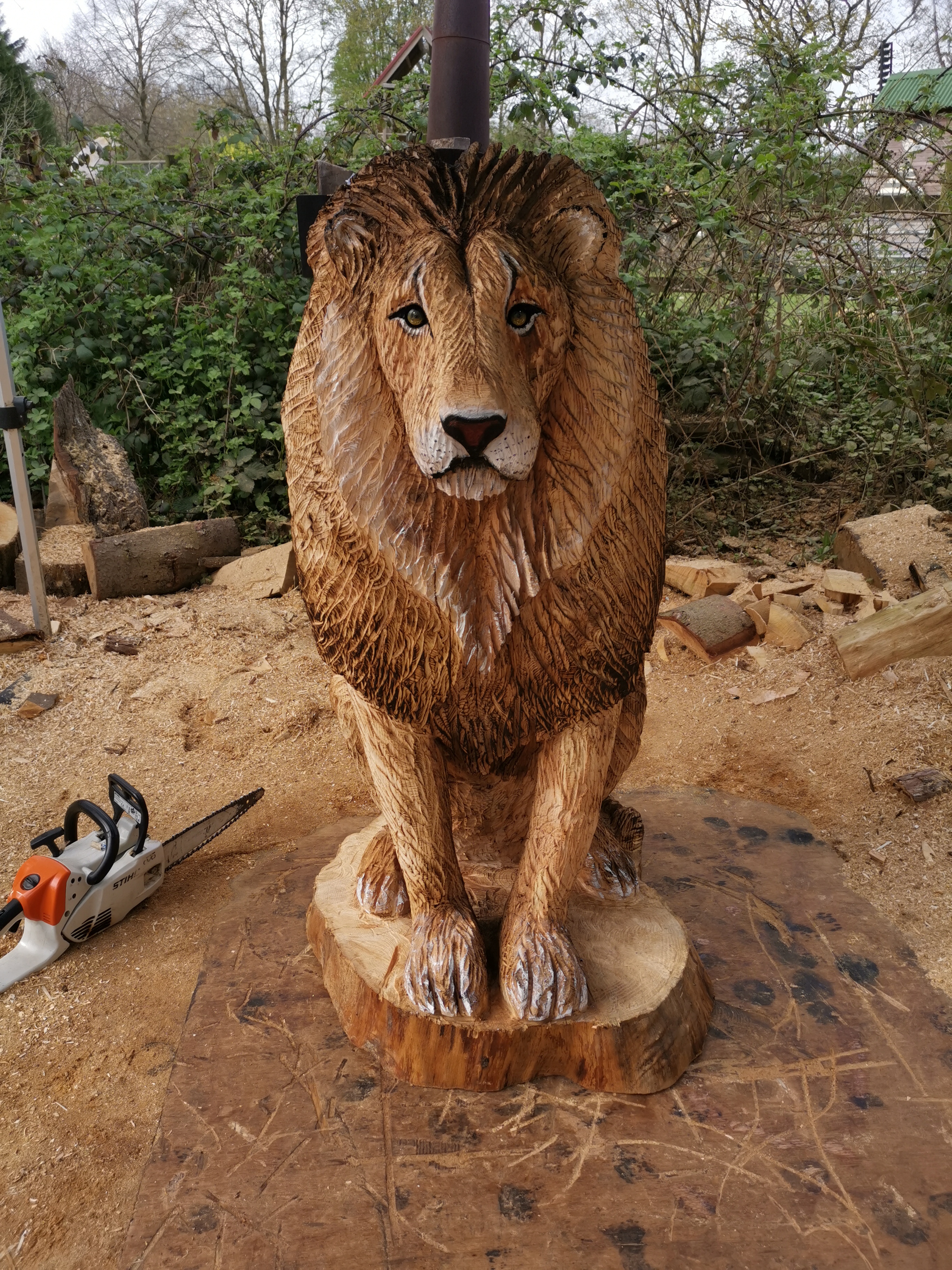 4Ft Male Lion, i carved