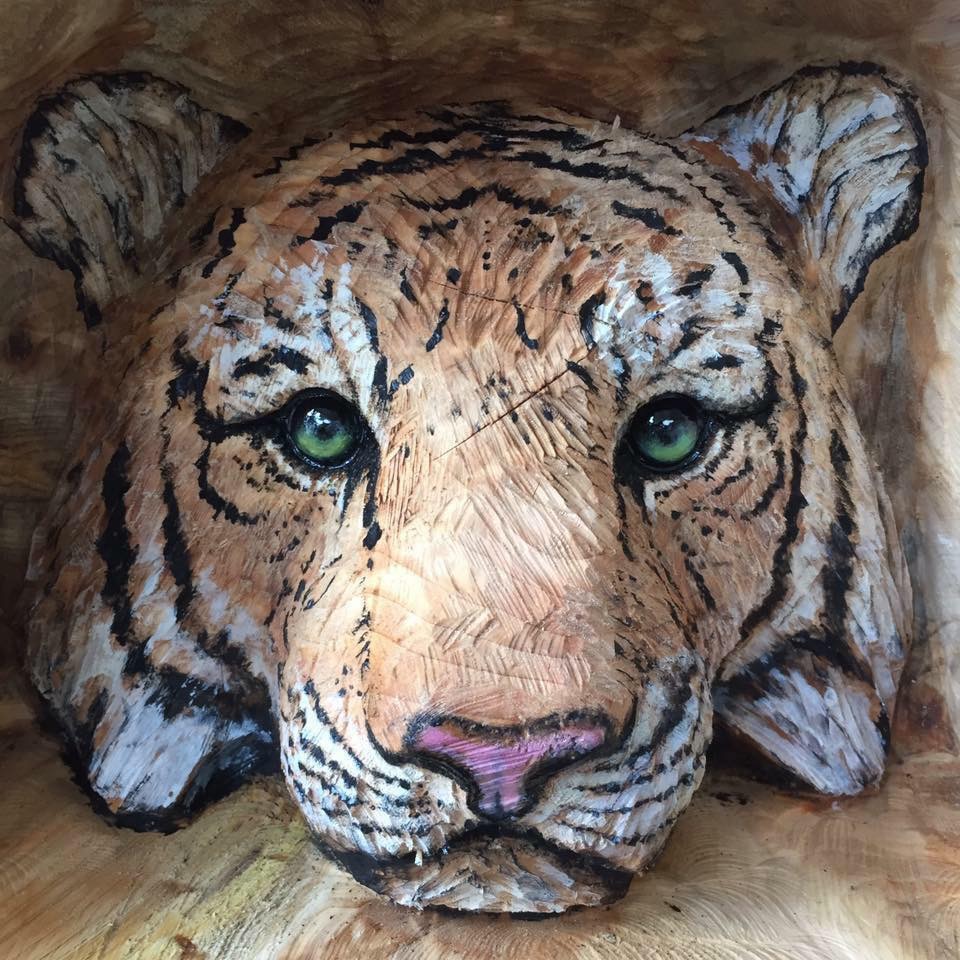 Tiger Head carving with painted high lights 